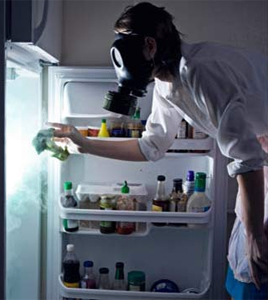 Устранить запах в холодильнике