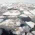 В Арктике растаял лед на площади, равной территории Турции